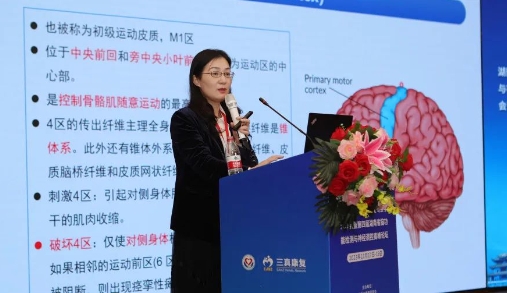 微信截图_20231123150246.png