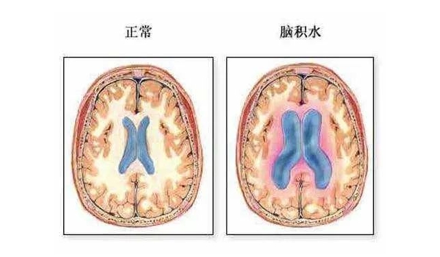微信截图_20231221083205.png
