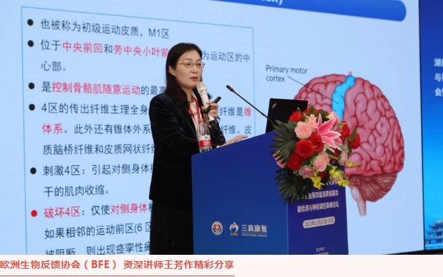 微信截图_20240620152338.png